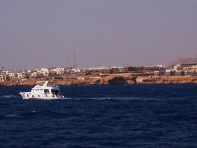 SHARM EL SHEIKH - foto