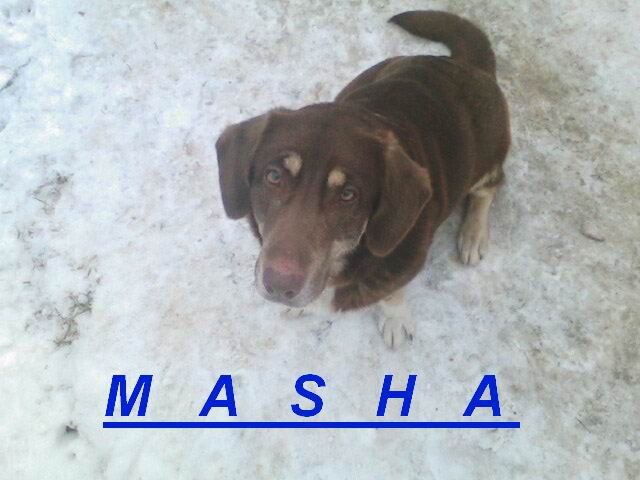 Masha