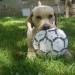to je moja žoga